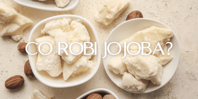 Co robi jojoba w pielęgnacji skóry i włosów?